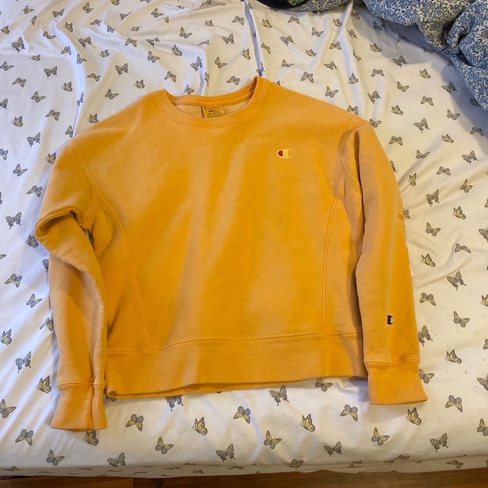 Crewneck champion pullover